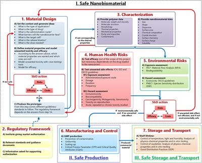 A Methodological Safe-by-Design Approach for the Development of Nanomedicines